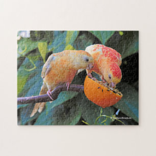 Liefde wordt gedeeld: Gele Turquoisine Parakeets Legpuzzel