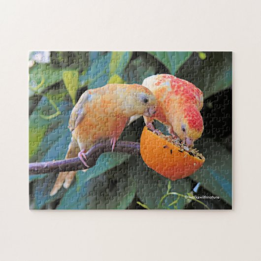 Liefde wordt gedeeld: Gele Turquoisine Parakeets Legpuzzel (Horizontaal)