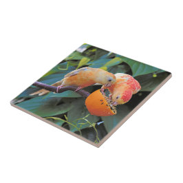 Liefde wordt gedeeld: Gele Turquoisine Parakeets Tegeltje