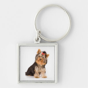 Liefde Yorkshire Terrier Puppie Hond Sleutelhanger