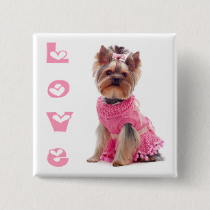 Liefde Yorkshire Terrier Puppie Hond Speldje / Kno