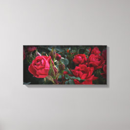 Liefde Zee bloei (rode rozen en buikjes) Canvas Afdruk