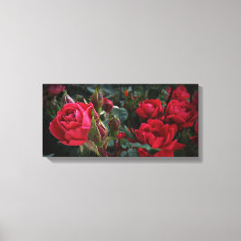 Liefde Zee bloei (rode rozen en buikjes) Canvas Afdruk