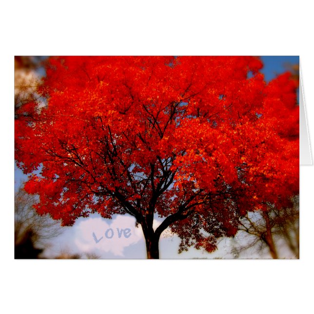 Liefde zit in de lucht... (Voorkant Horizontaal)