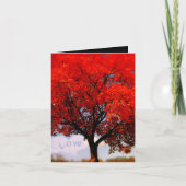 Liefde zit in de lucht... bedankkaart (Voorkant)