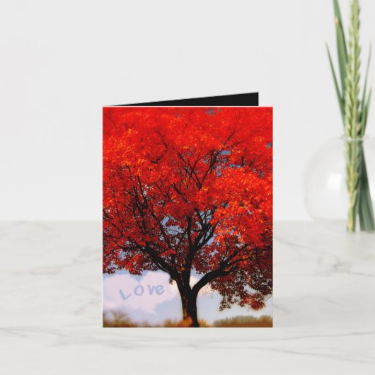 Liefde zit in de lucht... bedankkaart (Voorkant)