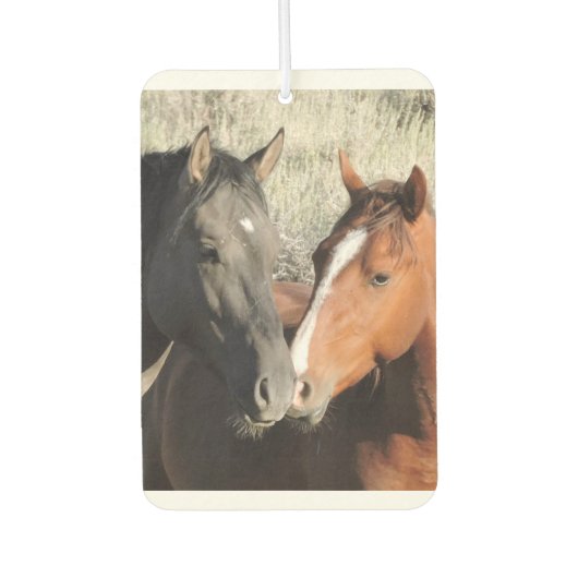 Liefde zit in de lucht luchtverfrisser (Voorkant)