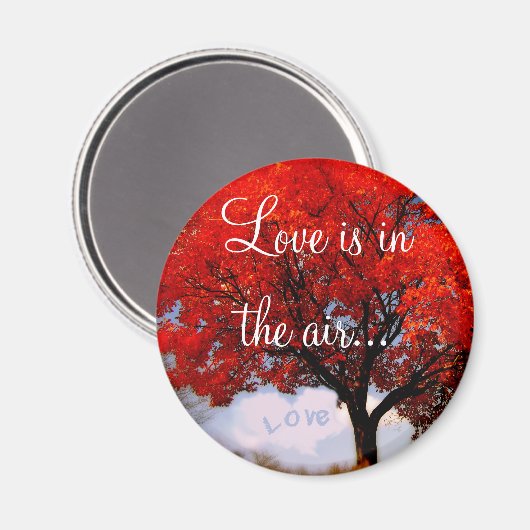 Liefde zit in de lucht... magneet (Voorkant / Achterkant)
