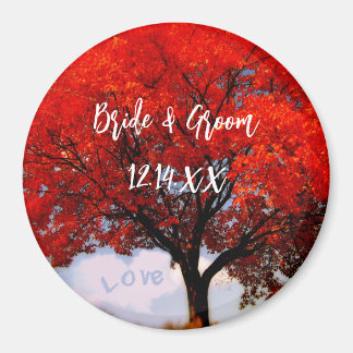 Liefde zit in de lucht... magneet