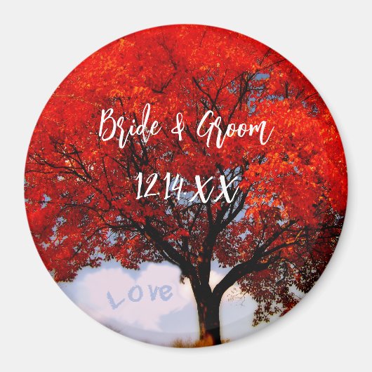 Liefde zit in de lucht... magneet (Voorkant)