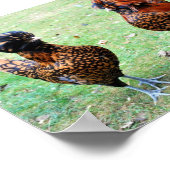 Liefde zit in de lucht poster (Hoek)