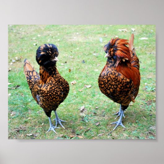 Liefde zit in de lucht poster (Voorkant)