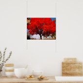 Liefde zit in de lucht poster (Keuken)