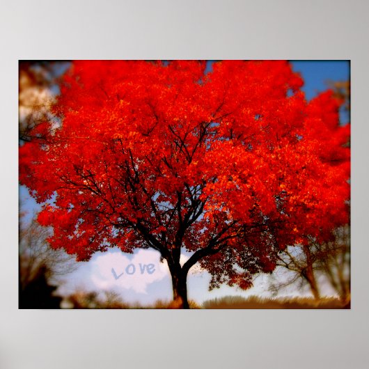 Liefde zit in de lucht poster (Voorkant)