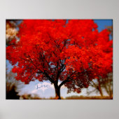 Liefde zit in de lucht poster (Voorkant)