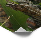 Liefde zit in de lucht poster (Hoek)