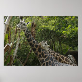 Liefde zit in de lucht poster (Voorkant)