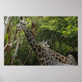 Liefde zit in de lucht poster