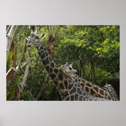 Liefde zit in de lucht poster (Voorkant)