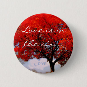 Liefde zit in de lucht... ronde button 5,7 cm