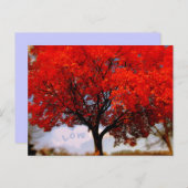 Liefde zit in de luchtrode Herfst-boom Briefkaart (Voorkant / Achterkant)