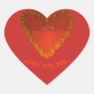 Liefde zit in mijn hart sticker