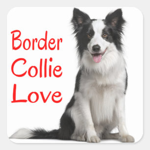 Liefde Zwart En Wit Border Collie Puppy Hond Vierkante Sticker