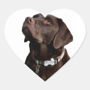 Liefde Zwarte Bruine Labrador Retriever Sticker La