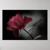 Liefde's Beauty Print (Voorkant)