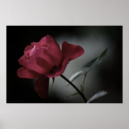 Liefde's Beauty Print