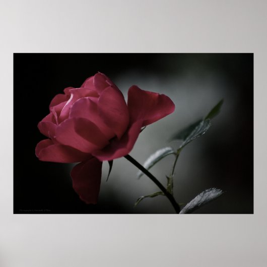 Liefde's Beauty Print (Voorkant)