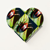 Liefdes buzz notitieboek (Achterkant)