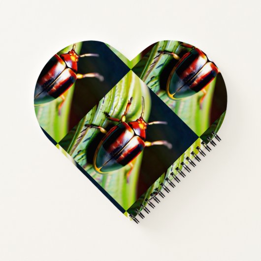 Liefdes buzz notitieboek (Achterkant)