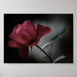 Liefdes Schoonheidsdruk Poster