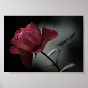 Liefdes Schoonheidsdruk Poster