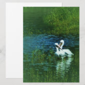 Liefdes vogels witte pelikaan paar MWUH! (Voorkant / Achterkant)