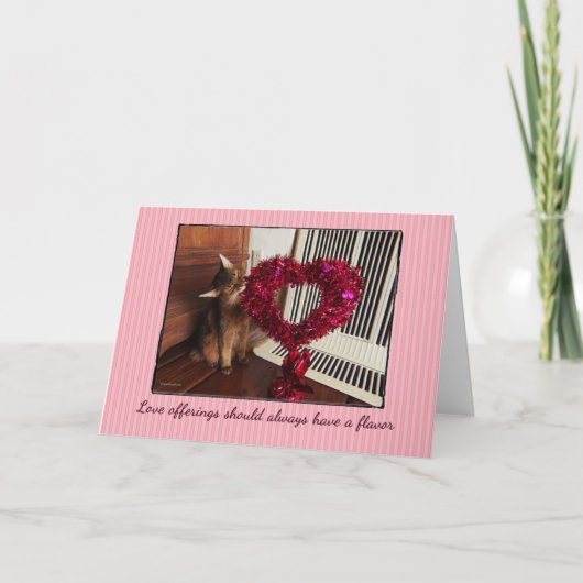 Liefdesaanbod Somalische Cat Kaart (Voorkant)