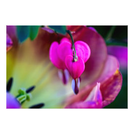 liefdesbekentenis foto afdruk