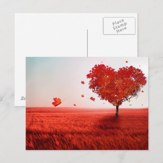 liefdesboom briefkaart (Voorkant / Achterkant)