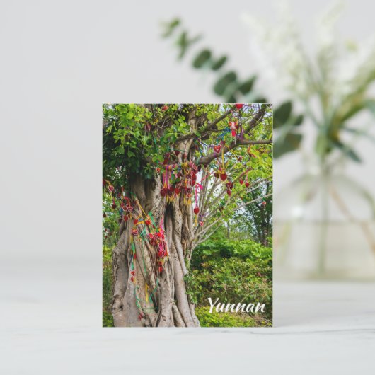 Liefdesboom, Zhonghe - Yunnan, China Briefkaart (Staand voorkant)