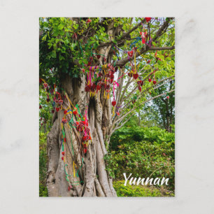 Liefdesboom, Zhonghe - Yunnan, China Briefkaart