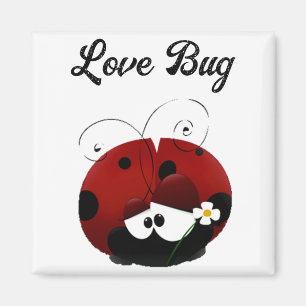 Liefdesbug Lieveheersbeestje Schattige Cartoon Val Magneet