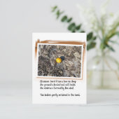 Liefdesgedicht en gestrand Sinaasappel Briefkaart (Staand voorkant)