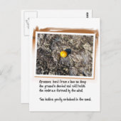 Liefdesgedicht en gestrand Sinaasappel Briefkaart (Voorkant / Achterkant)