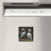 Liefdesliedjes Puffins Magneet (Insitu (Vaatwasser))