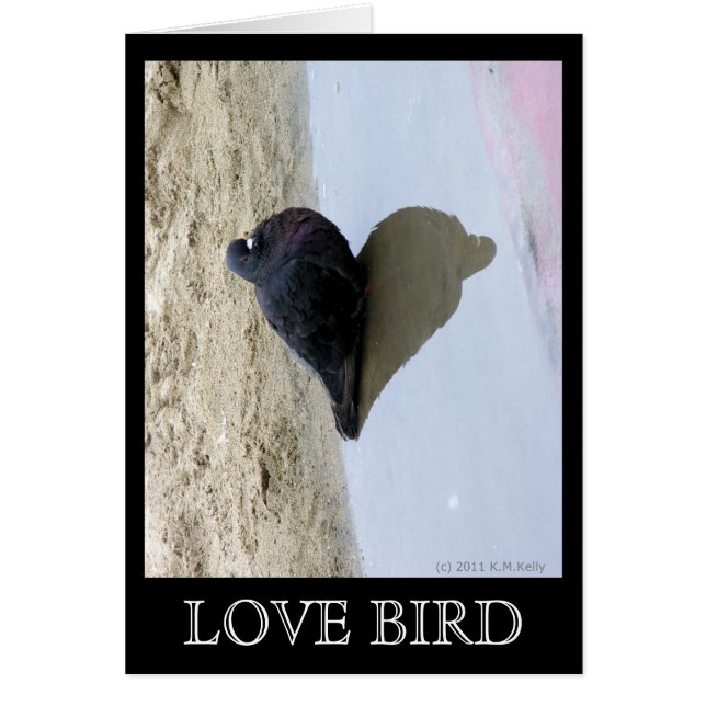 Liefdesvogelkaart (Voorkant)