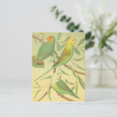 liefdesvogels en paraketten briefkaart (Staand voorkant)