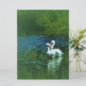 Liefdesvogels witte pelikaan paar MWUH! (Staand voorkant)