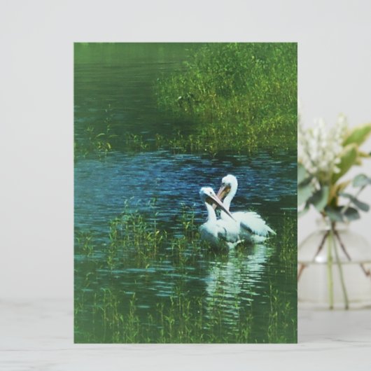 Liefdesvogels witte pelikaan paar MWUH! (Staand voorkant)