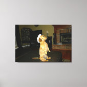Liefdevol zitten of tv kijken Dachshond Canvas Afdruk (Voorkant)